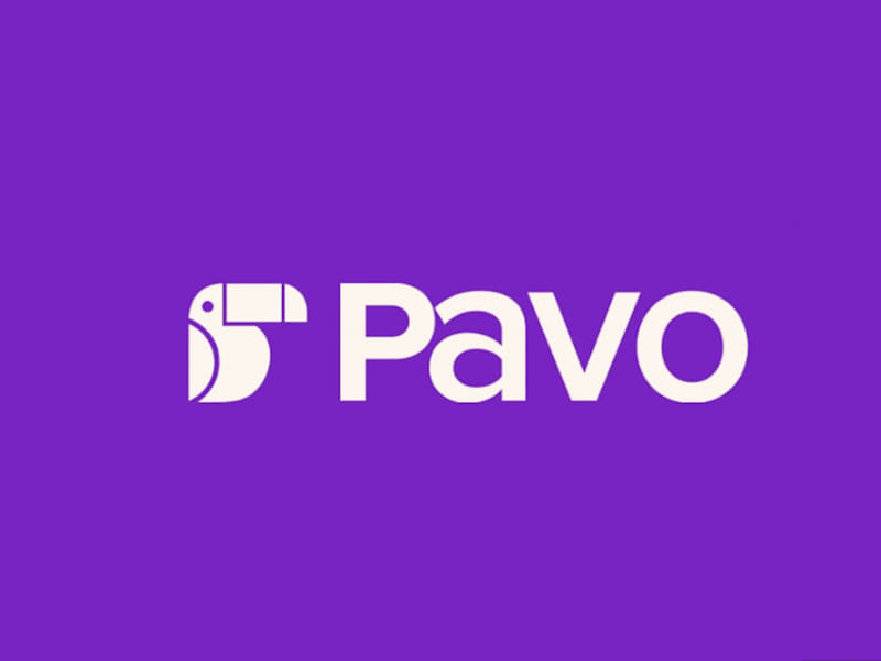 Cover image for Brand Identity for Pavo Fintech