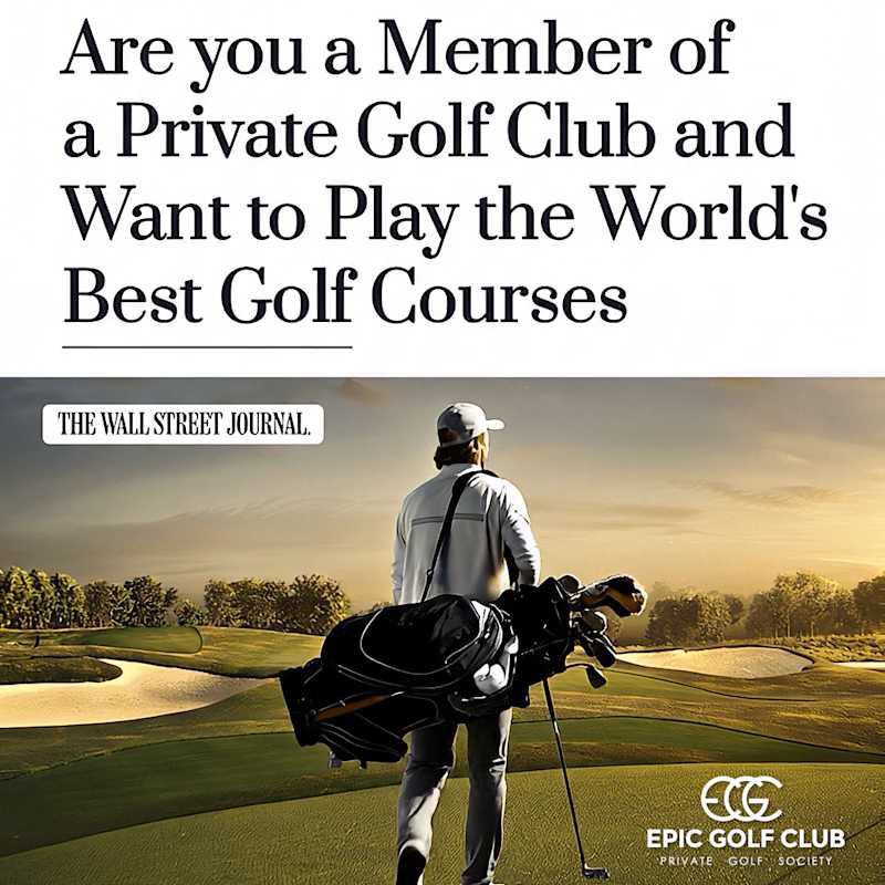 Cover image for Motion is the new story.