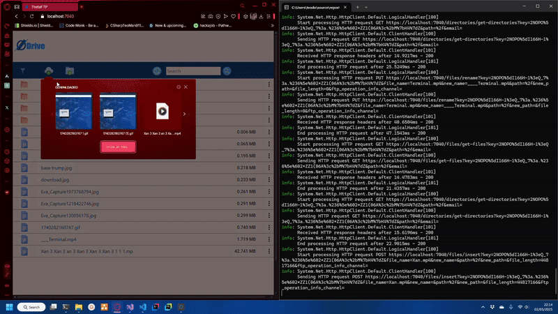 Cover image for GitHub - CSharpTeoMan911/ThetaFTP