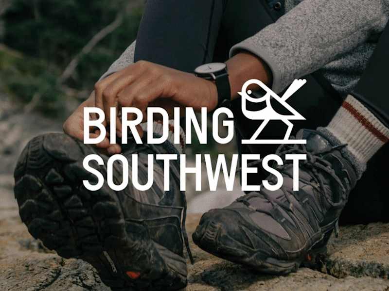 Cover image for Birding Southwest | Brand Identity + Website