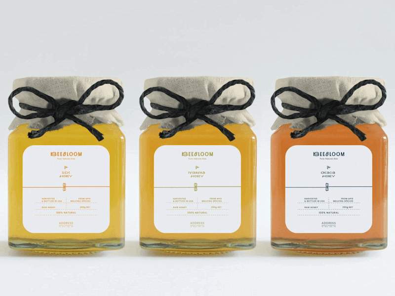 Cover image for BeeBloom - Brand Identity 