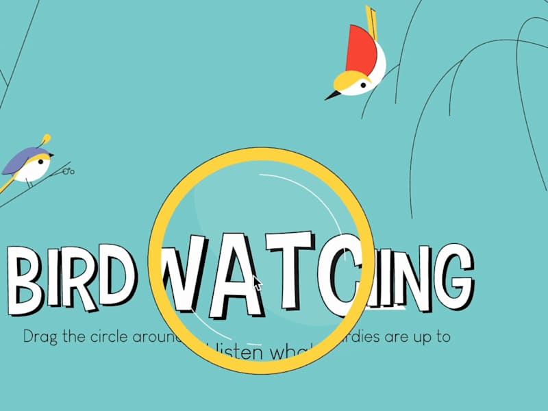 Cover image for Bird Watching