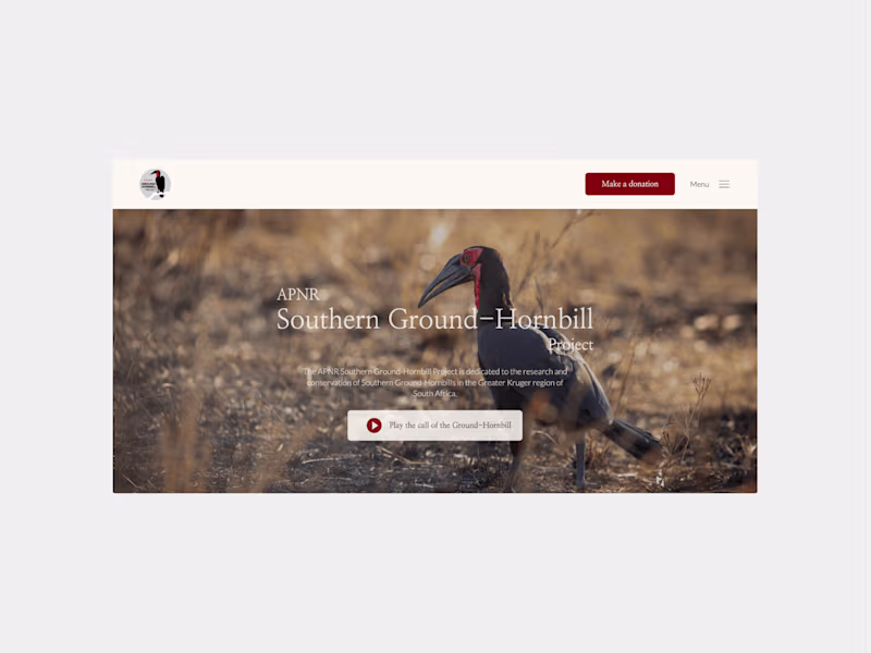 Cover image for Framer Single Landing Page