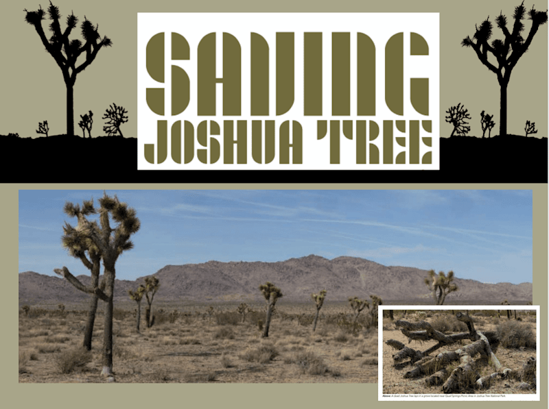 Cover image for Saving Joshua Tree: Pursuit Magazine article