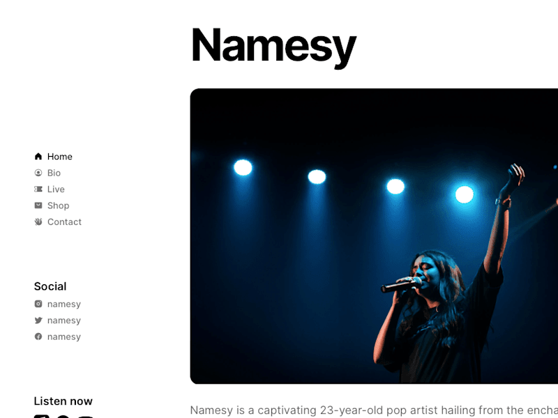 Cover image for Namesy