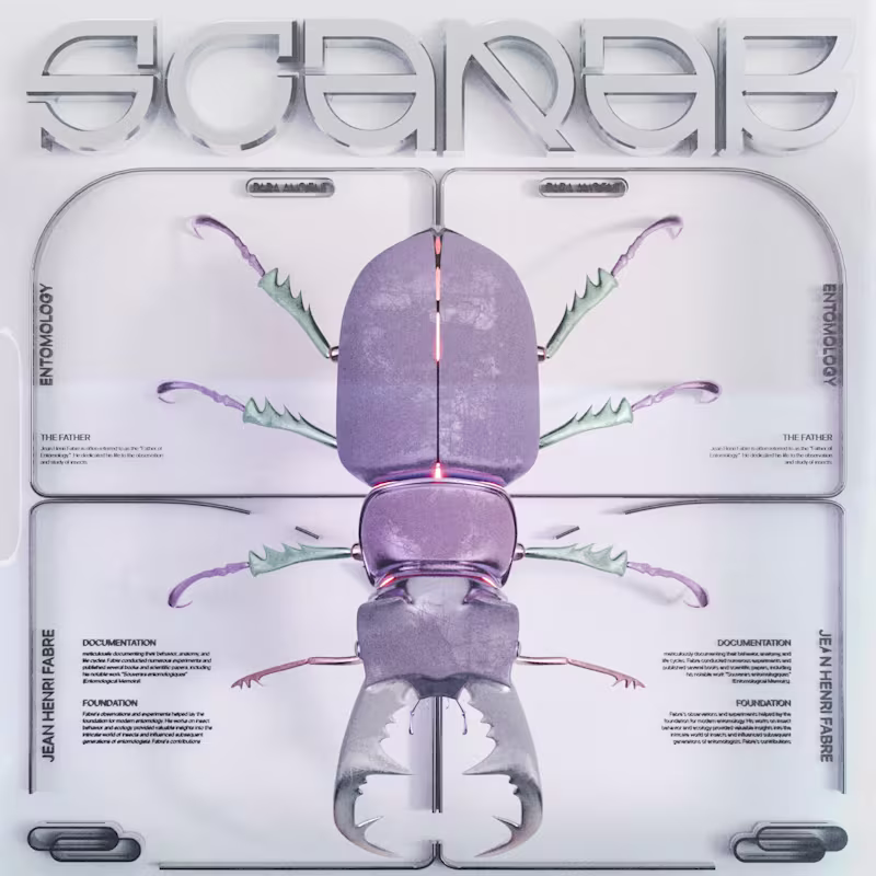 Cover image for 3D Design Work