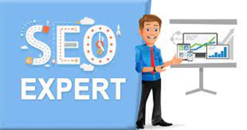 Cover image for SEO EXPERT