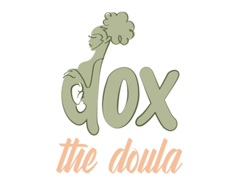Cover image for Dox the Doula
