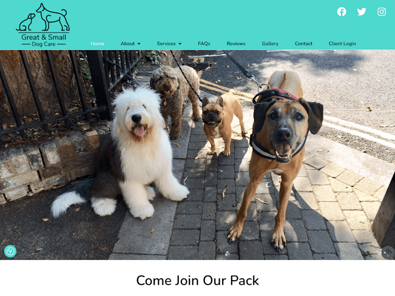 Cover image for Great and Small Dog Care | Website Design