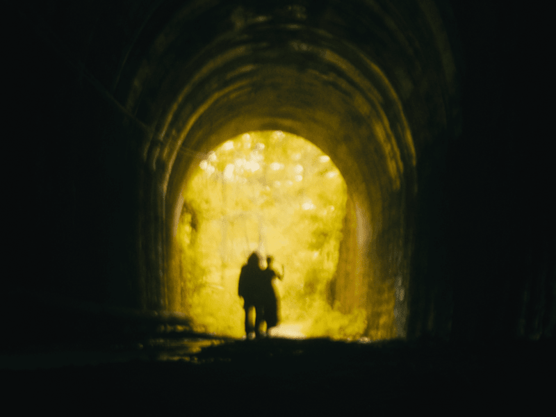 Cover image for Professional Video Editing