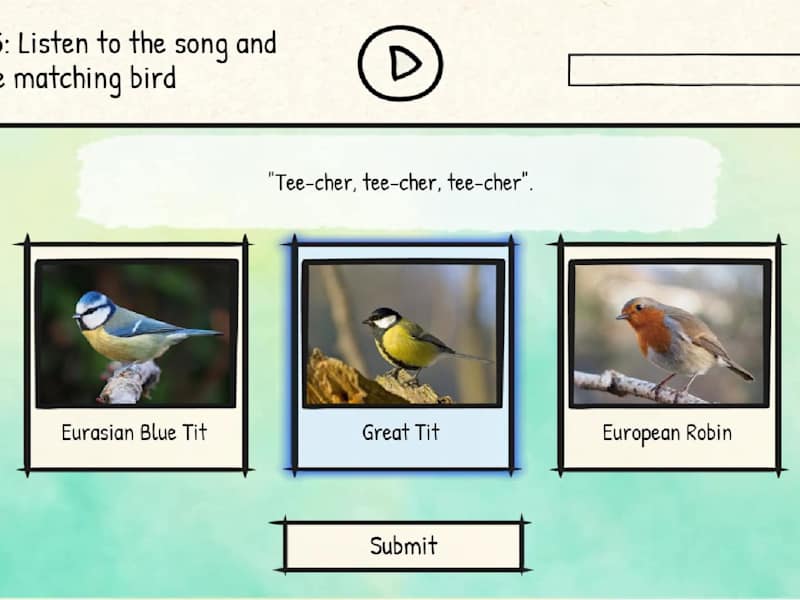 Cover image for BirdLingo - a birdsong learning game