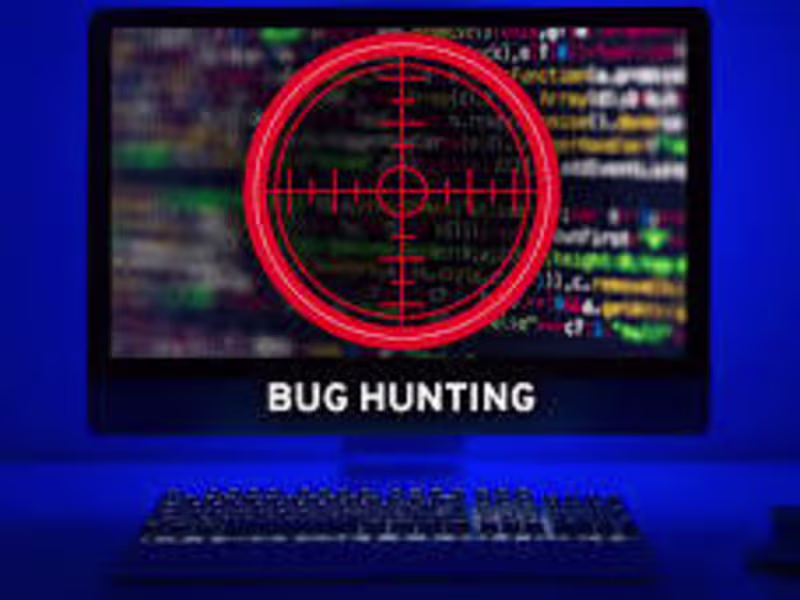 Cover image for Functional software testing(Bug hunting)