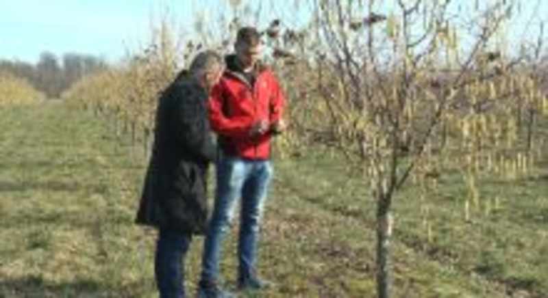 Cover image for Local News Reporting for Šabac TV