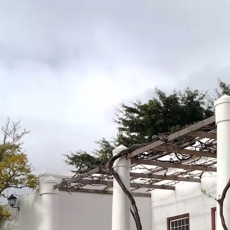 Cover image for Strauss & Co Auctioneers on Instagram