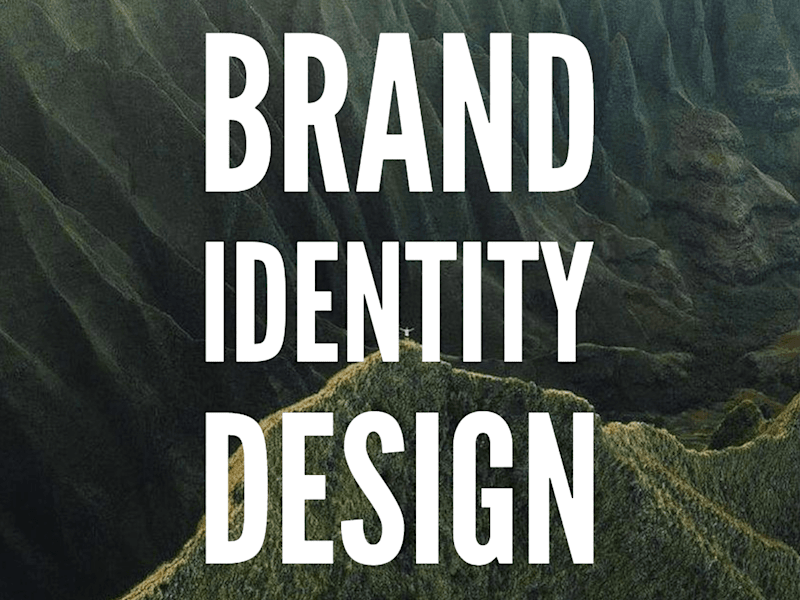 Cover image for Brand Identity Design 