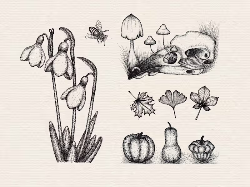 Cover image for HAND DRAWN RETRO VINTAGE INK ILLUSTRATION