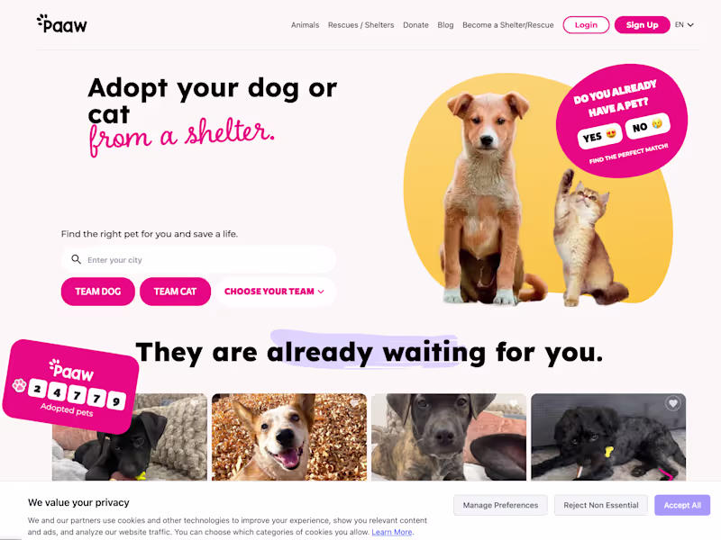 Cover image for Paaw.co (http://Paaw.co) Features and Stripe Integration: Ne...