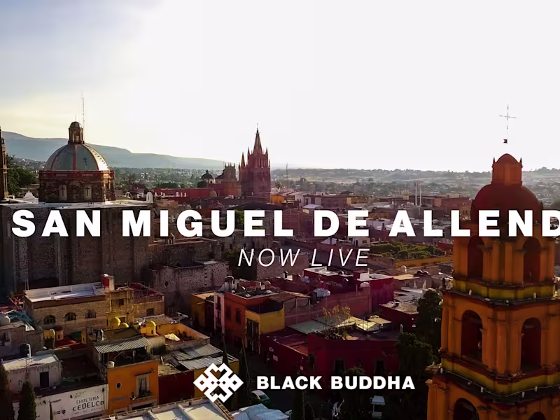 Cover image for San Miguel de Allende