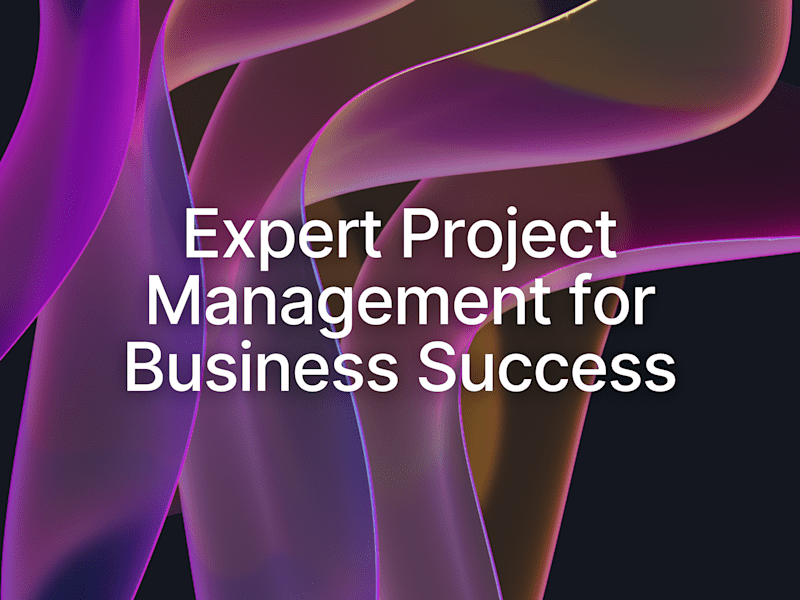 Cover image for Expert Project Management for Business Success