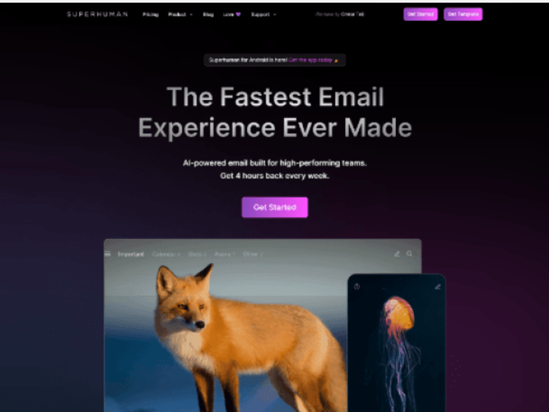 Cover image for Framer Landing Page