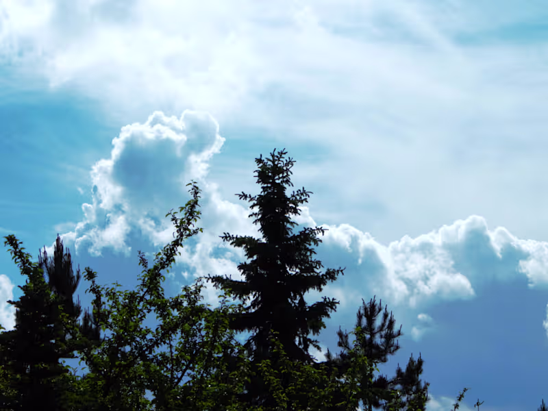 Cover image for Professional Photo Editing