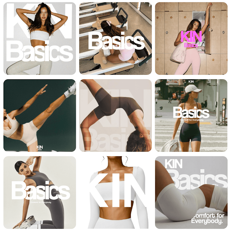 Cover image for KIN BASICS