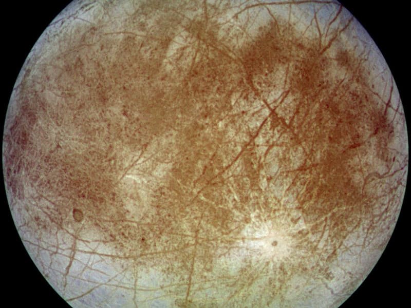 Cover image for Contamination Analysis and Guidance