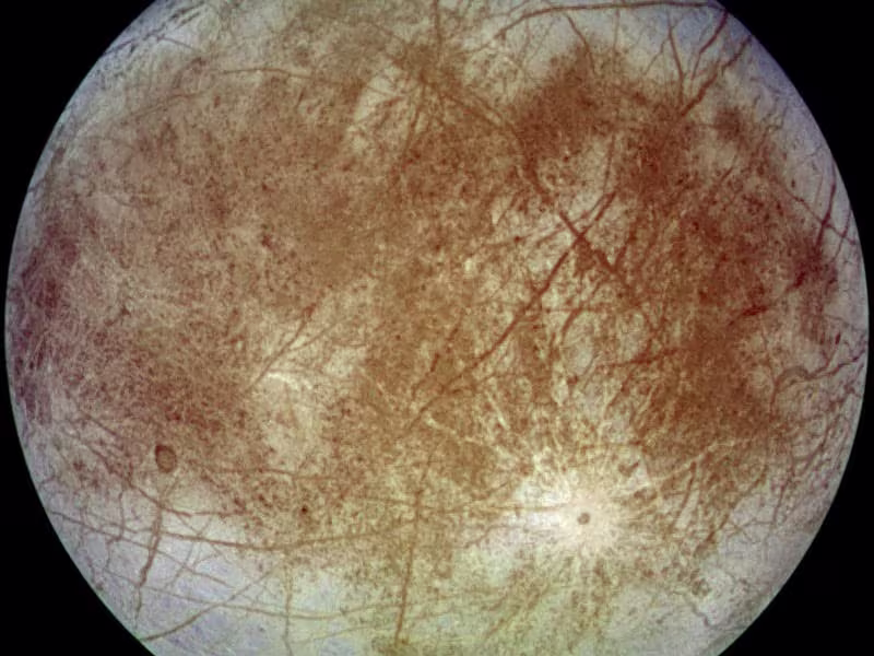 Cover image for Contamination Analysis and Guidance