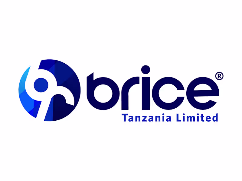 Cover image for Brain Becca