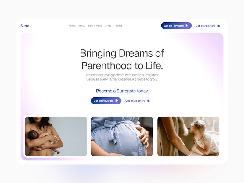 Cover image for Surro Website Design