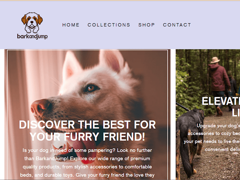 Cover image for Expert E-commerce Website Designer