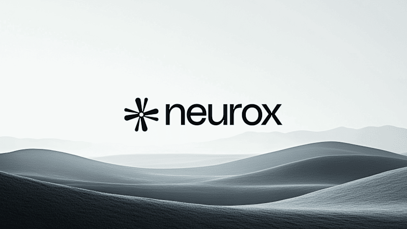 Cover image for Branding & Visual Identity
