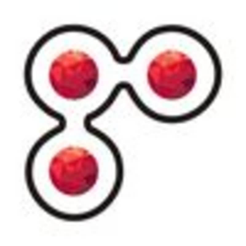 Cover image for ShootOrder (@shootorder) • Instagram photos and videos
