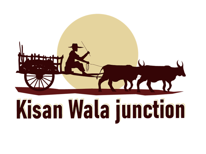 Cover image for kisan wala junction