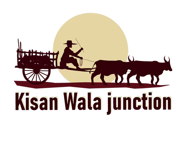 Cover image for kisan wala junction