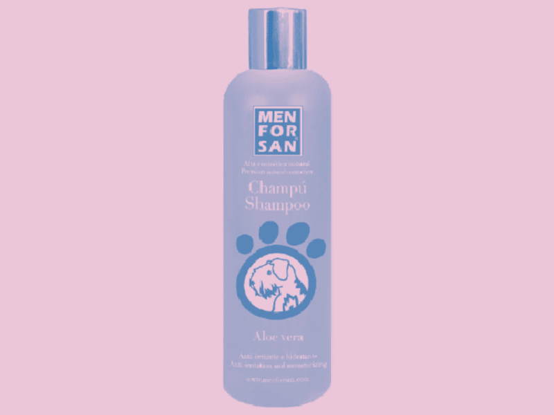 Cover image for MENFORSAN