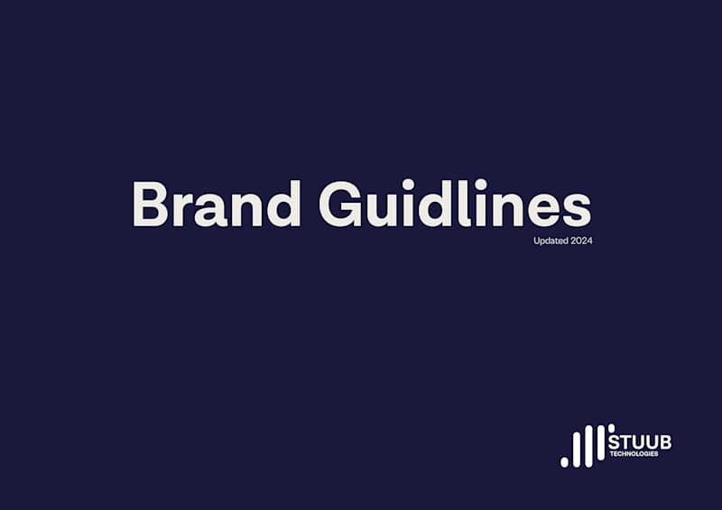 Cover image for Brand Identity Guideline for a fintech