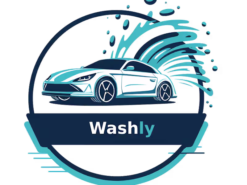 Cover image for Washly 