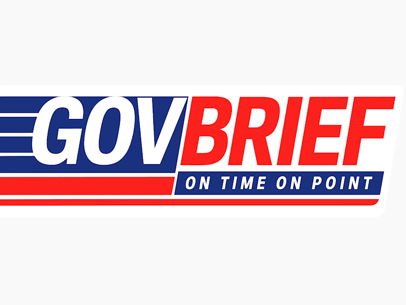 Cover image for GovBrief
