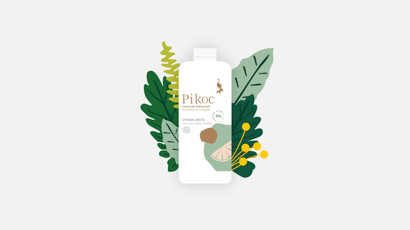 Cover image for Pikoc, Ulule Campaign