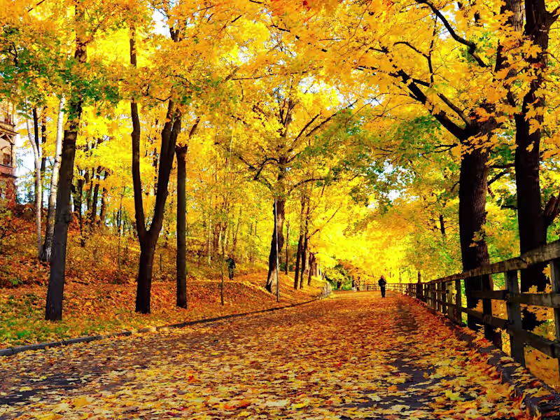 Cover image for Photo editing