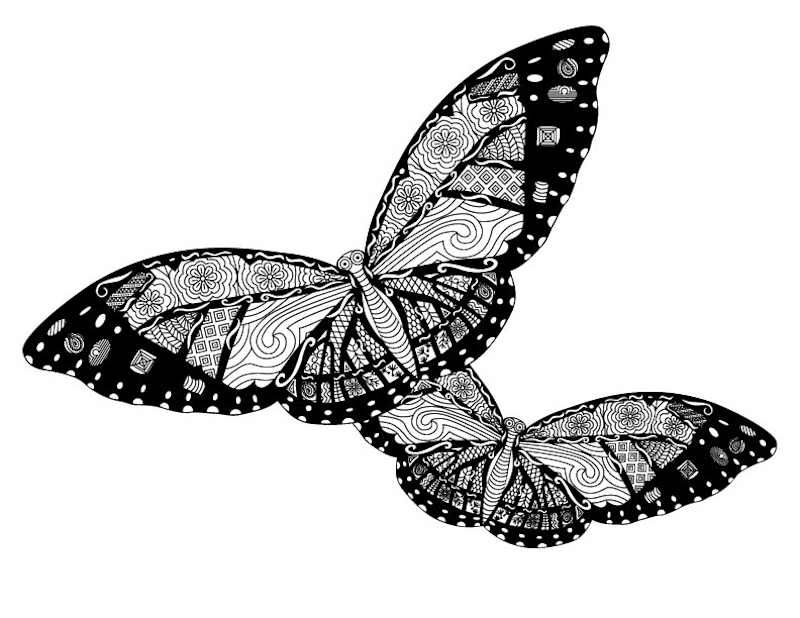 Cover image for Double Butterfly Coloring Book Page