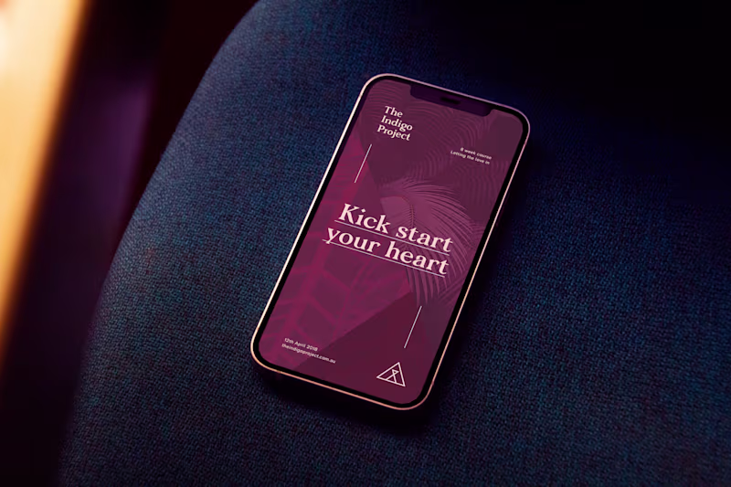 Cover image for The Indigo Project