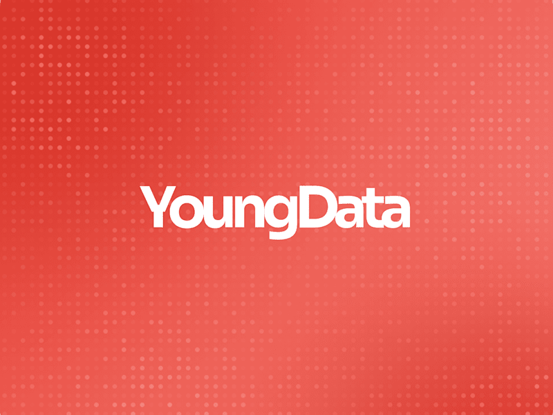 Cover image for Youngdata: A Webflow Integration Tailored for Impact