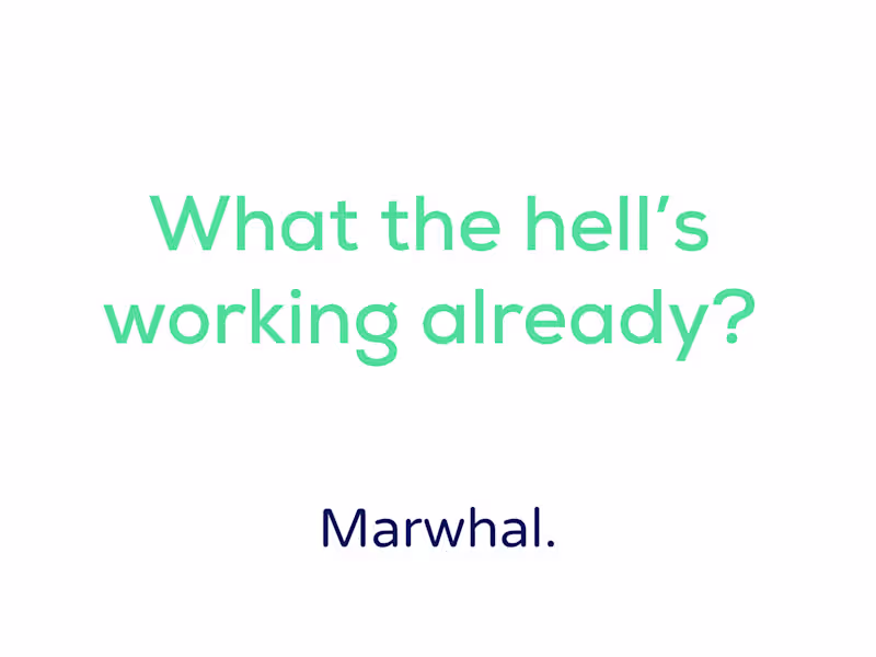 Cover image for Digital marketing audit and plan