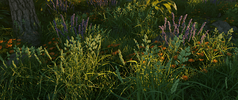 Cover image for 3D Environment