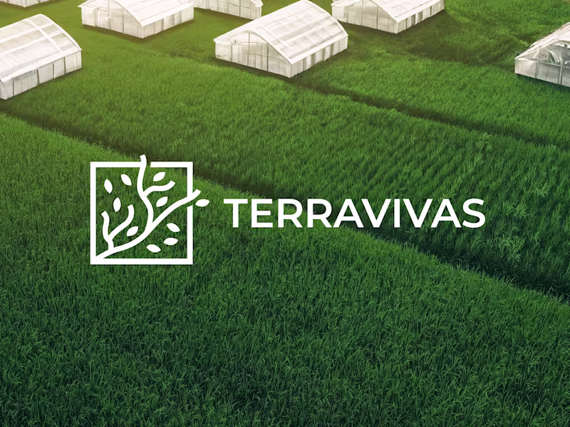 Cover image for TerraVivas Web Design