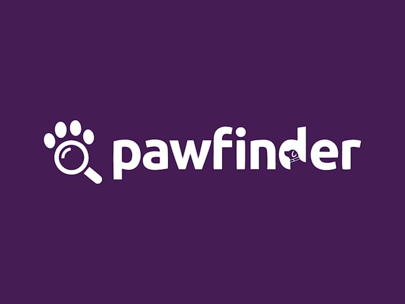 Cover image for Pawfinder - Visual Design