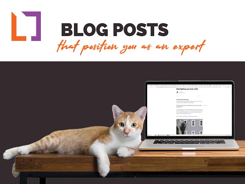 Cover image for Blog Posts