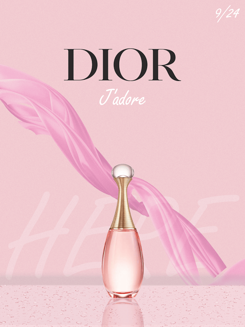 Cover image for DIOR POSTER